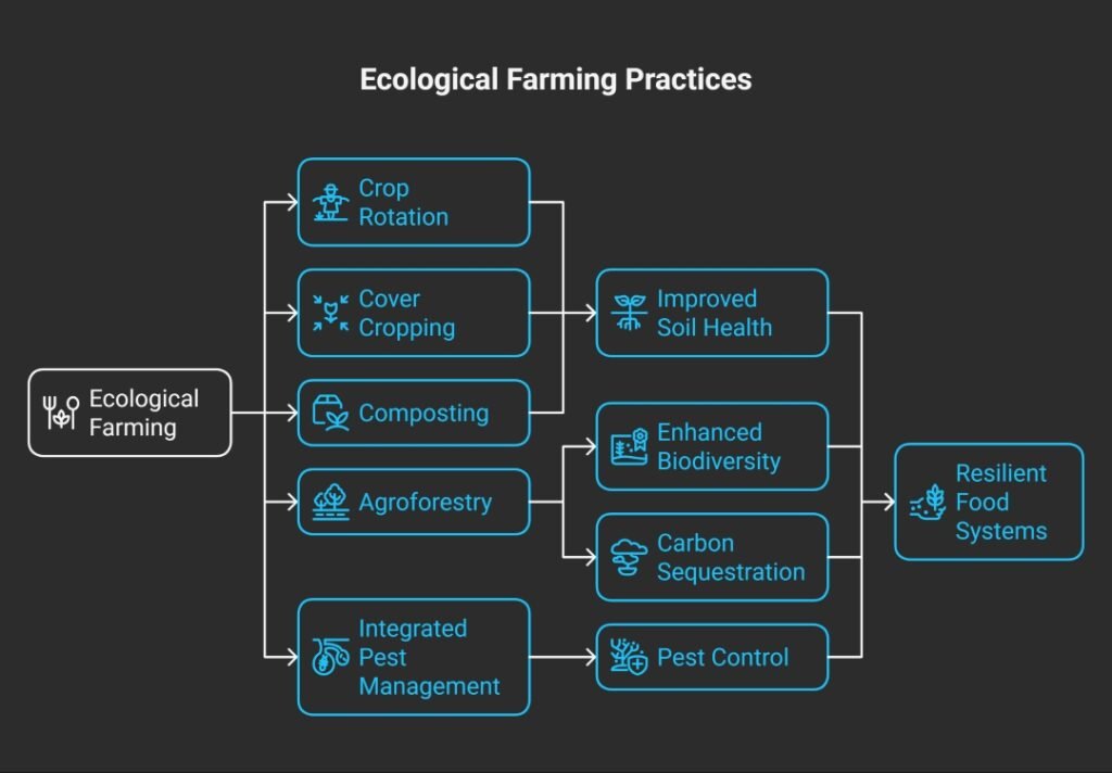 How Ecological Farming Works: Sustainable Practices for a Healthier Planet Infographic illustrating key ecological farming practices, including crop rotation, cover cropping, composting, agroforestry, and integrated pest management for sustainable agriculture.
