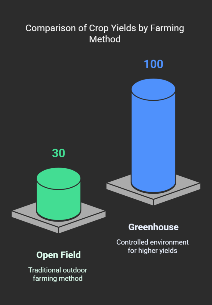 Bar graph comparing tomato yields in open field versus greenhouse farming methods.