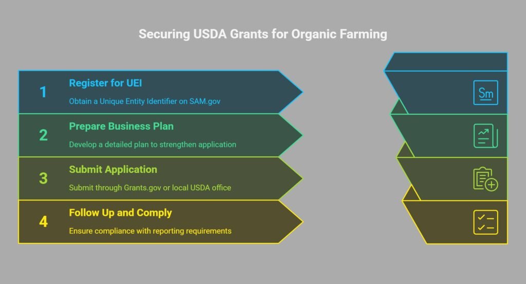 Infographic showing 5 steps to apply for USDA government grants for organic farming in 2025, including identifying programs, registering on SAM.gov, preparing plans, submitting applications, and following up.