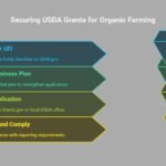 Infographic showing 5 steps to apply for USDA government grants for organic farming in 2025, including identifying programs, registering on SAM.gov, preparing plans, submitting applications, and following up.