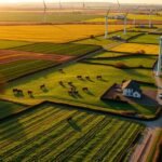 Wide-angle drone view of a sustainable farm at golden hour with cover crops, grazing livestock, wind turbines, and solar panels — illustrating regenerative agriculture net zero practices