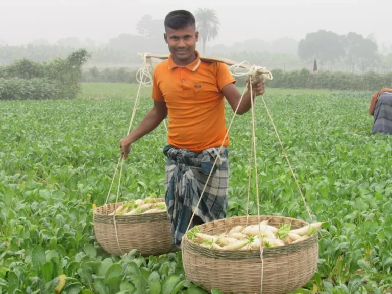 A vegetable farmer