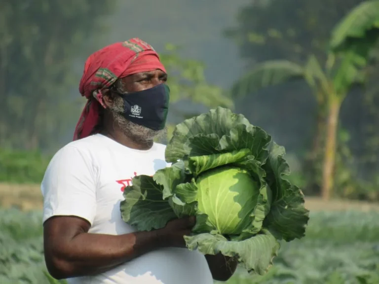 A successfull vegetable farmer